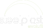 logo-STEELPLAST-blanc